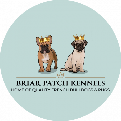 Briar Patch Logo Circle PNG